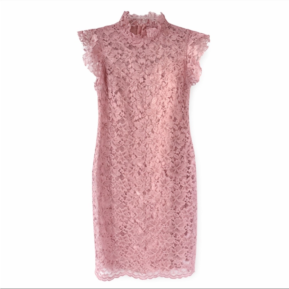 Enfocus Studio Blush Lace Midi Dress